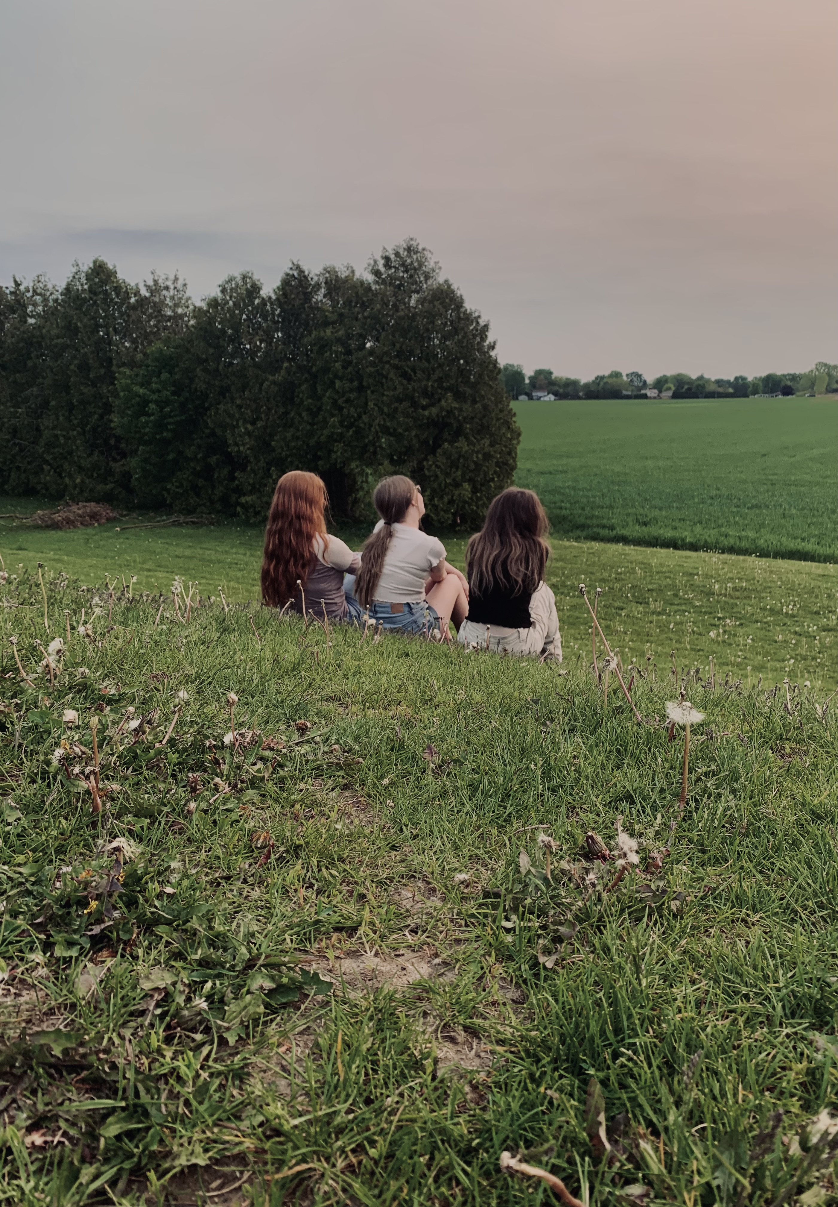 three people sat together on grassy hillside
