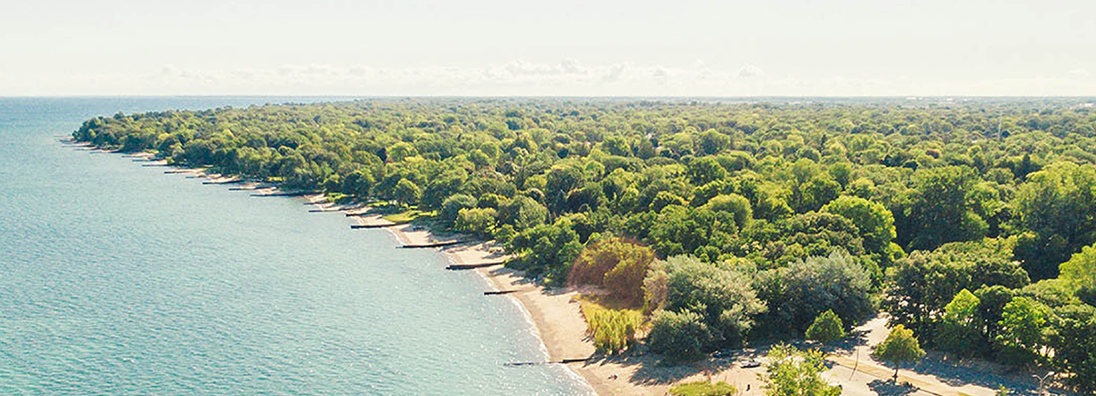 Ariel view of a lake and land with trees.