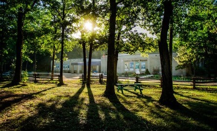 Brick building seen through sun rays and trees.