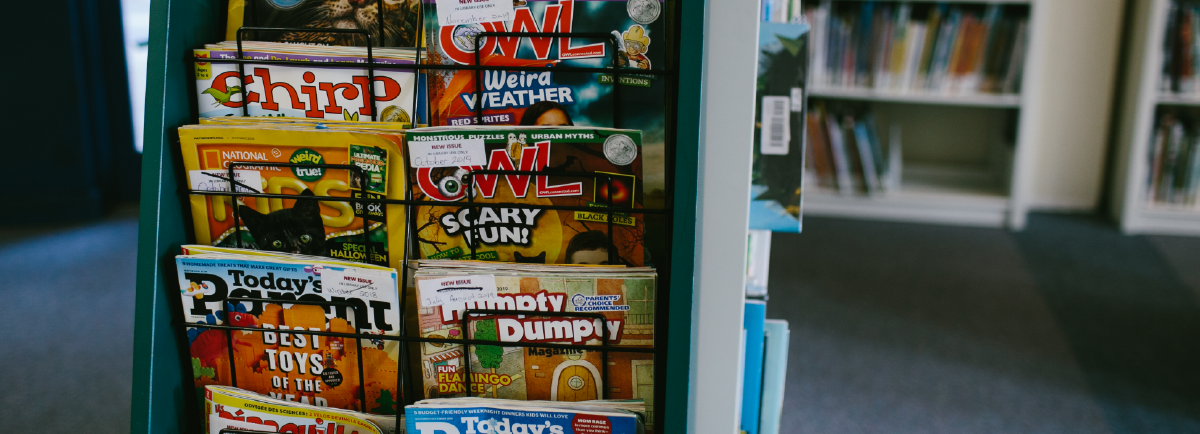 Magazine rack in Library.