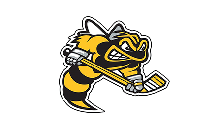 Logo of a bee playing hockey.