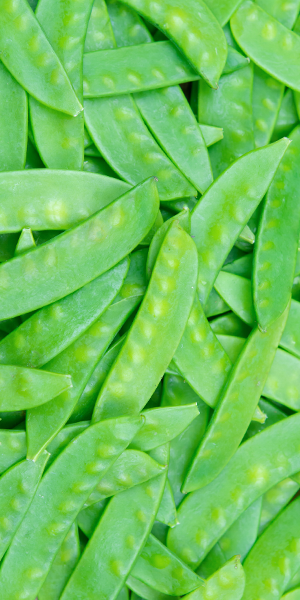 A bunch of green, flat beans piled on top of each other