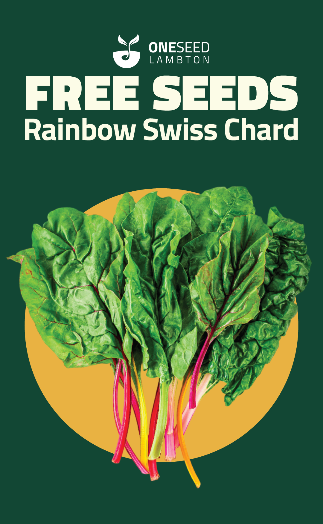 Promotional image for free Rainbow Swiss Chard seeds.
