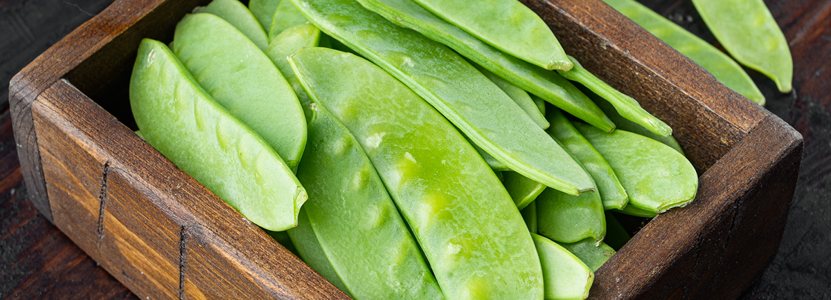 Green beans in a wood planter box.