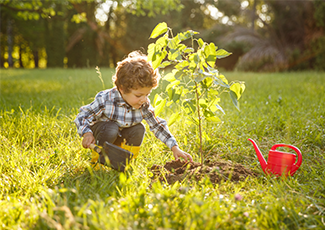 Child planting a tree in a grassy field.