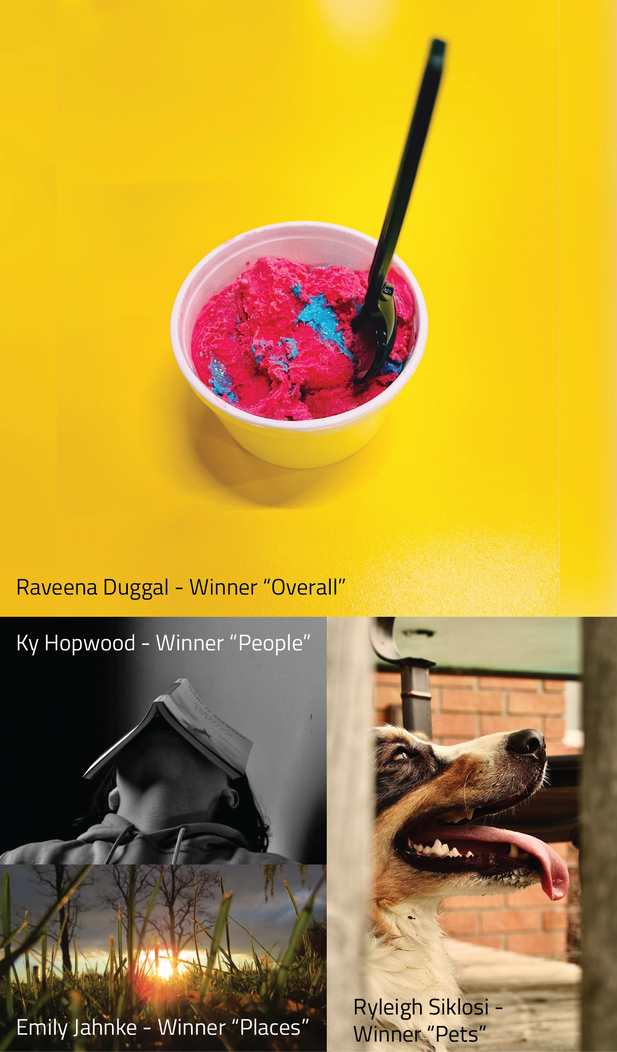 Image of four winning photos: Ice cream on a yellow background, dog with tongue out, landscape of a field, person with a book over their hear