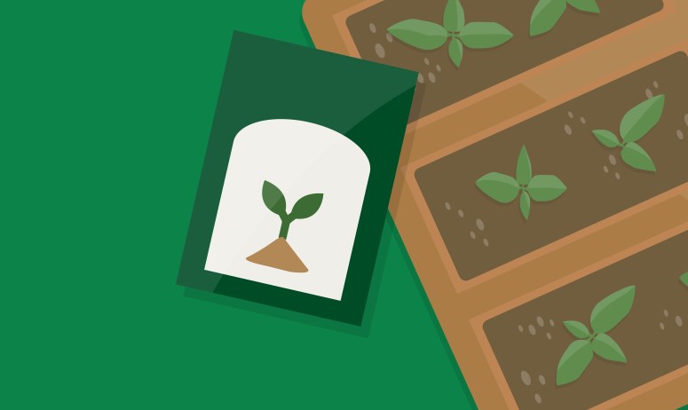 Green background with seed tray and green seed pack